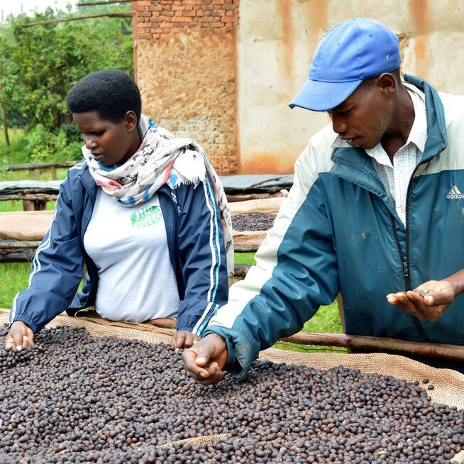 Burundi Incuti