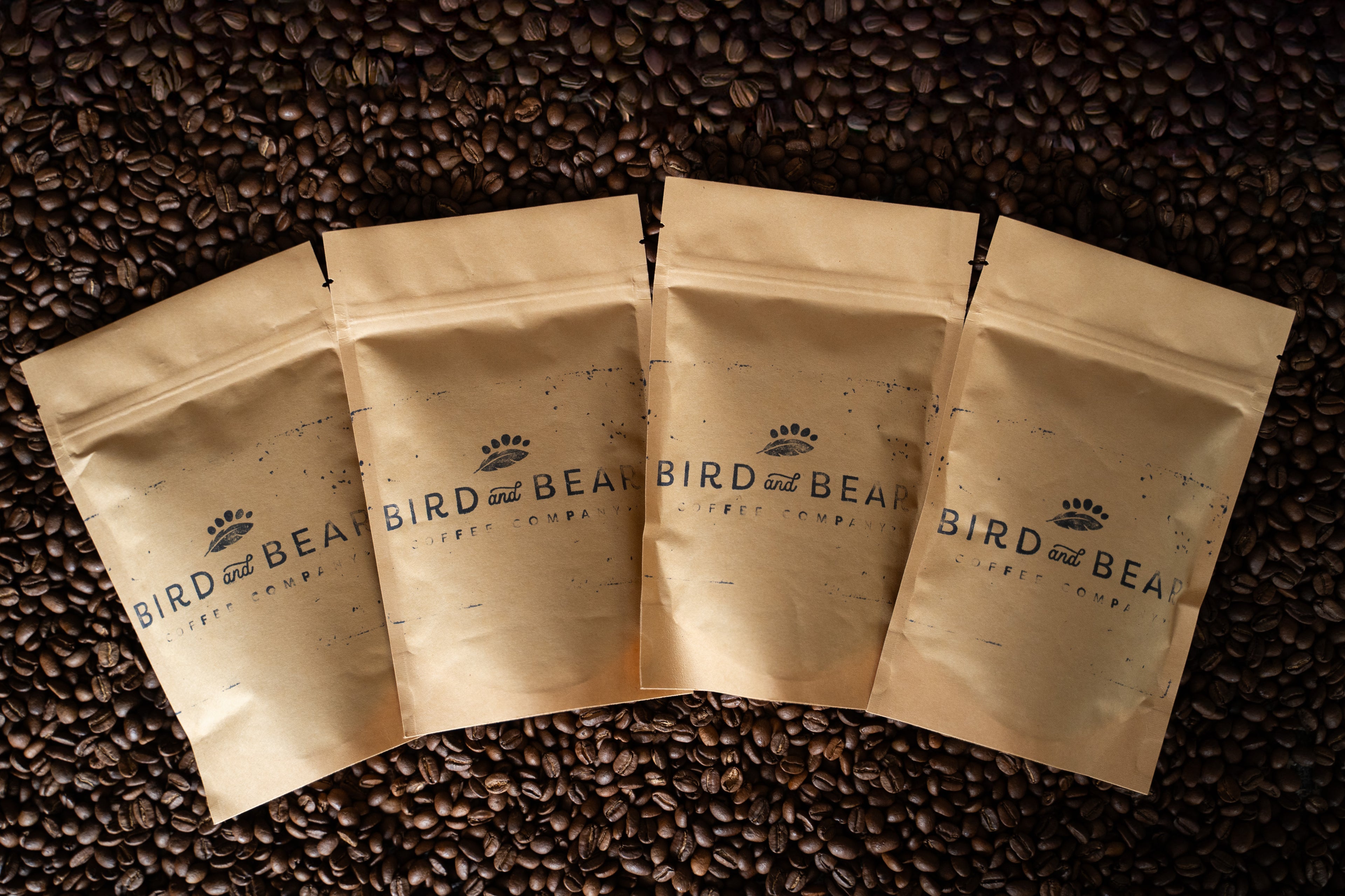 Coffee Sampler Pack