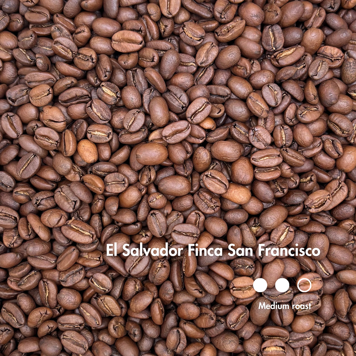 El Salvador Finca San Francisco