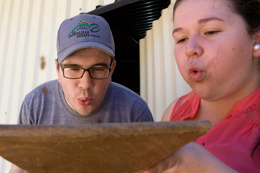 Costa Rica Finca Palmilera Geisha Natural