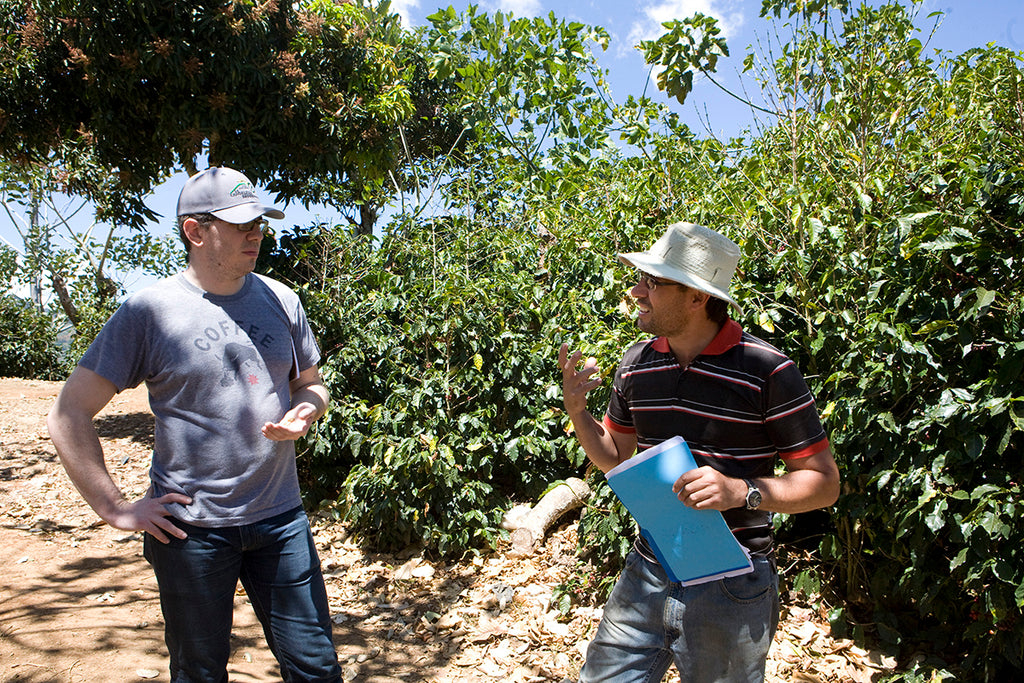 Costa Rica Finca Palmilera Geisha Natural