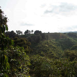 Load image into Gallery viewer, Tanzania Ngorongoro
