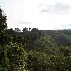 Tanzania Ngorongoro