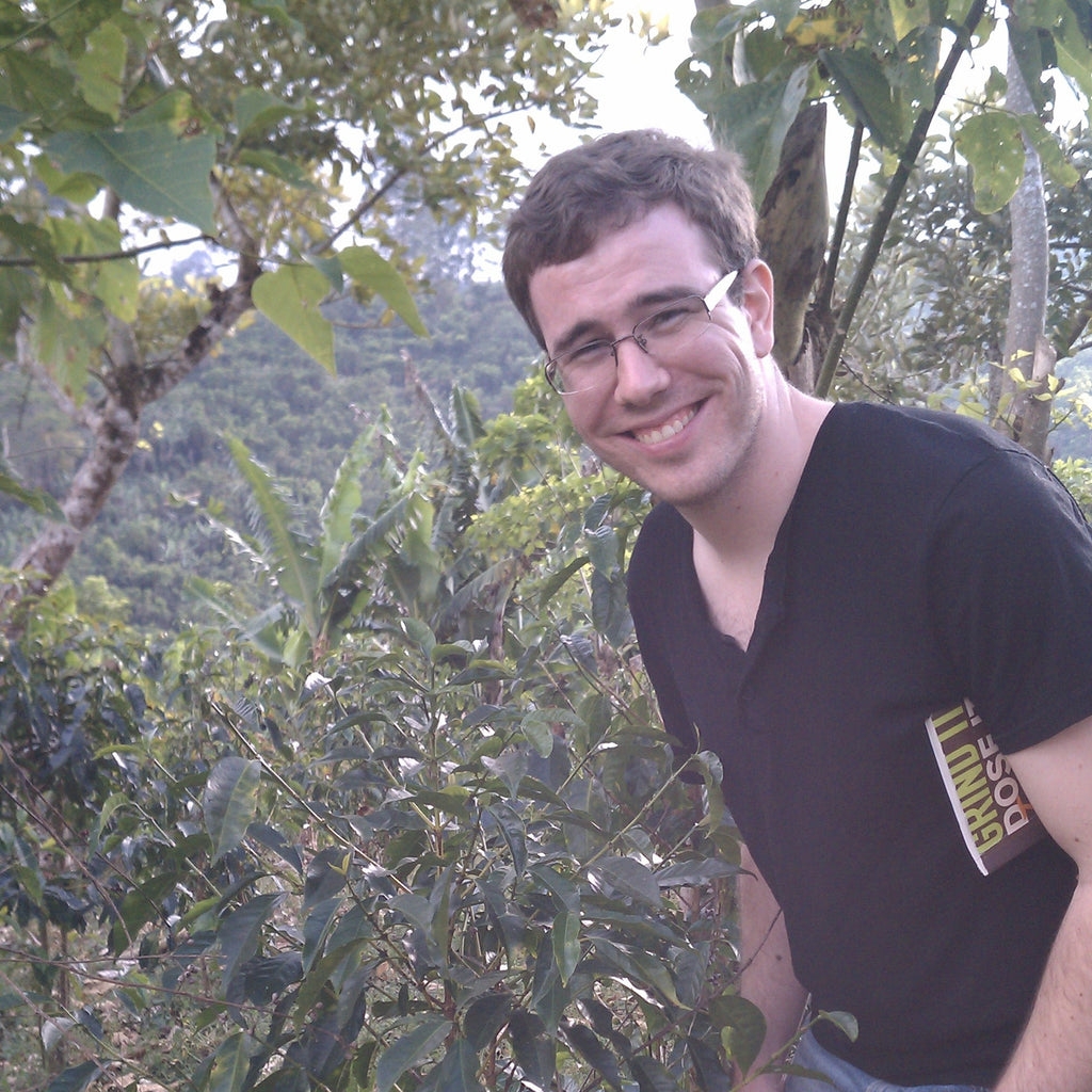 Costa Rica Finca Palmilera Geisha Natural