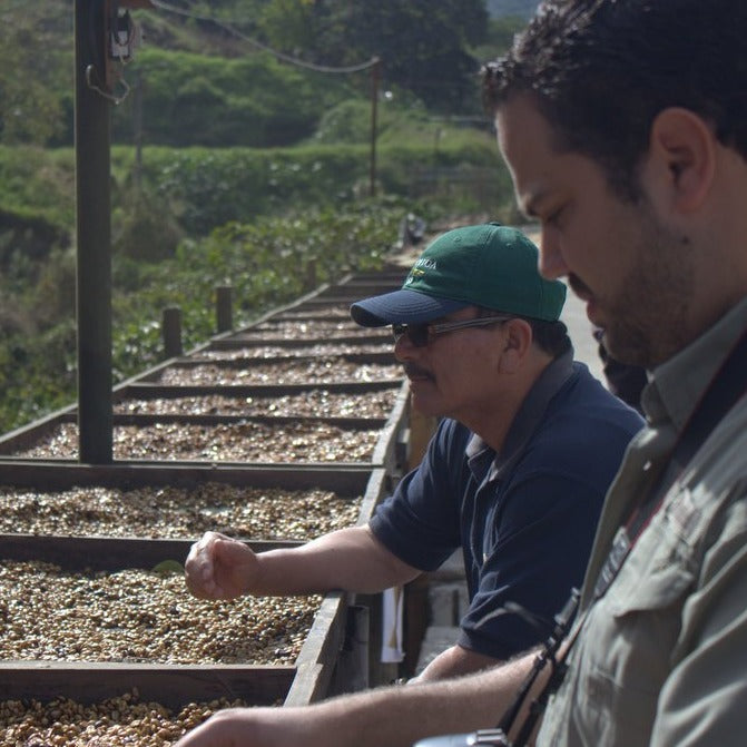 El Salvador Finca San Francisco