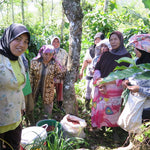 Load image into Gallery viewer, Sumatra Ketiara
